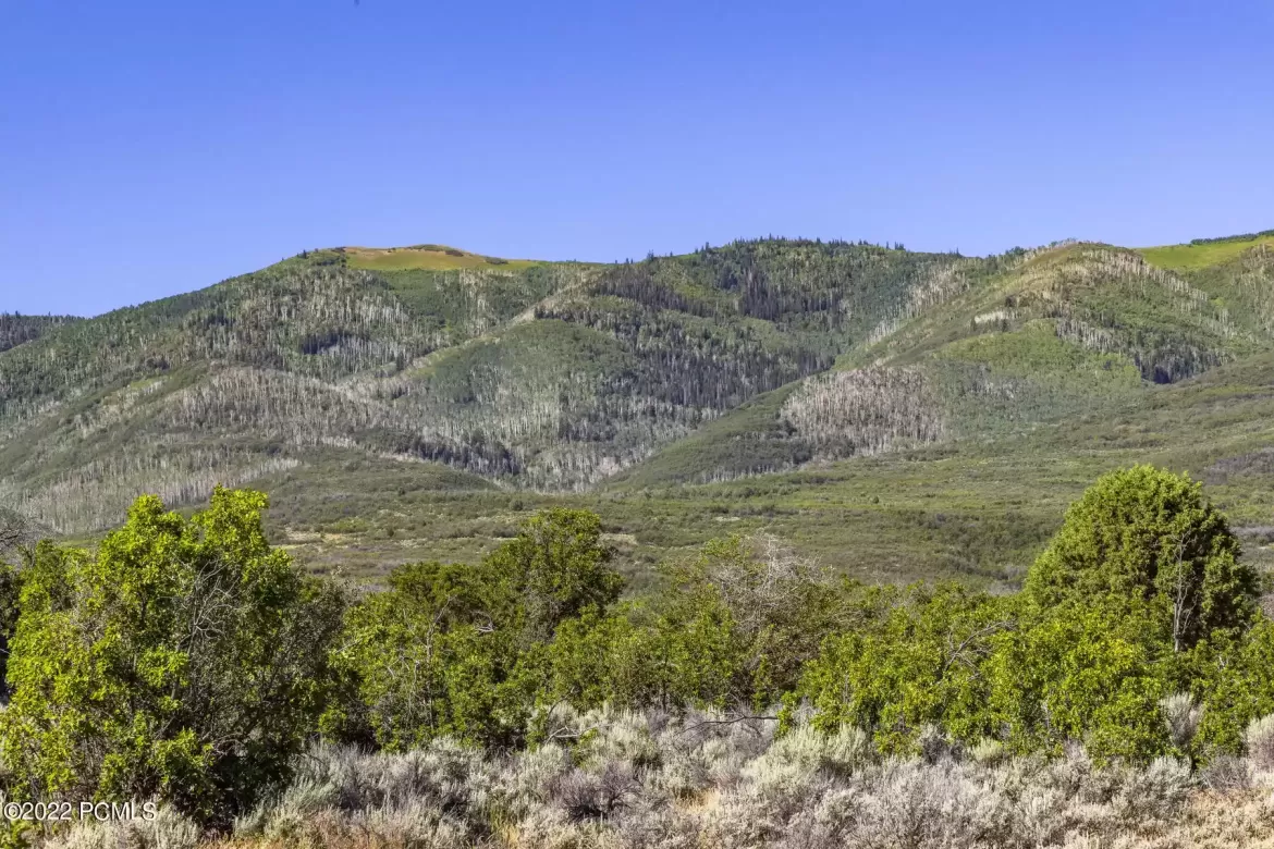 2120 Little Valley Rd, Wallsburg, UT 84082
