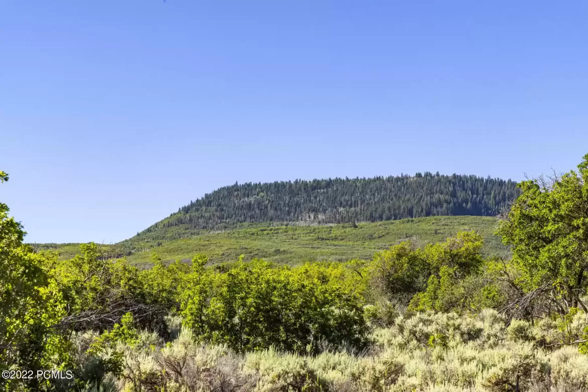 2120 Little Valley Rd, Wallsburg, UT 84082