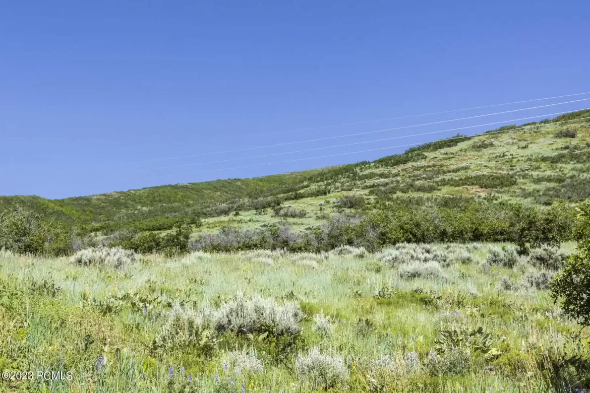 926 Upland Loop, Midway, Utah 84049