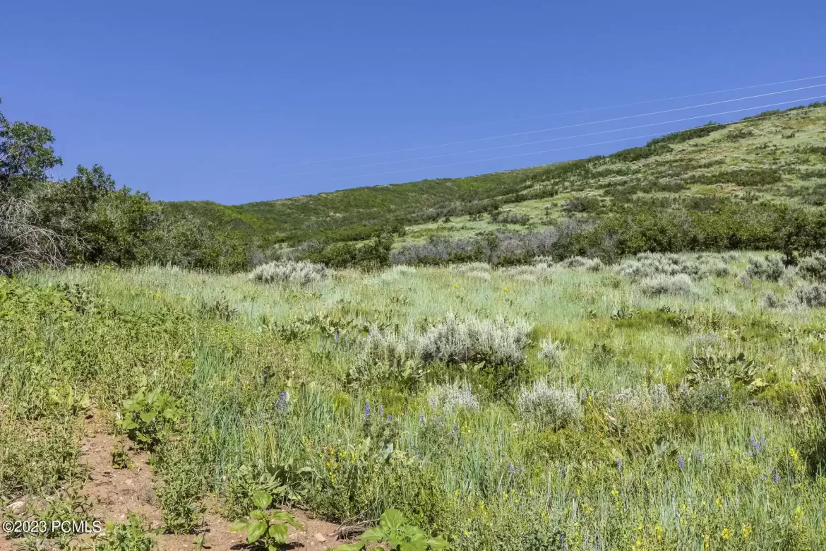 926 Upland Loop, Midway, Utah 84049