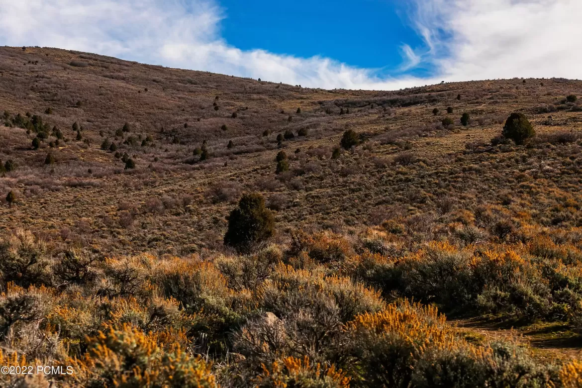 1424 High Country Lane- Lot 67, Francis, Utah 84036,12200259