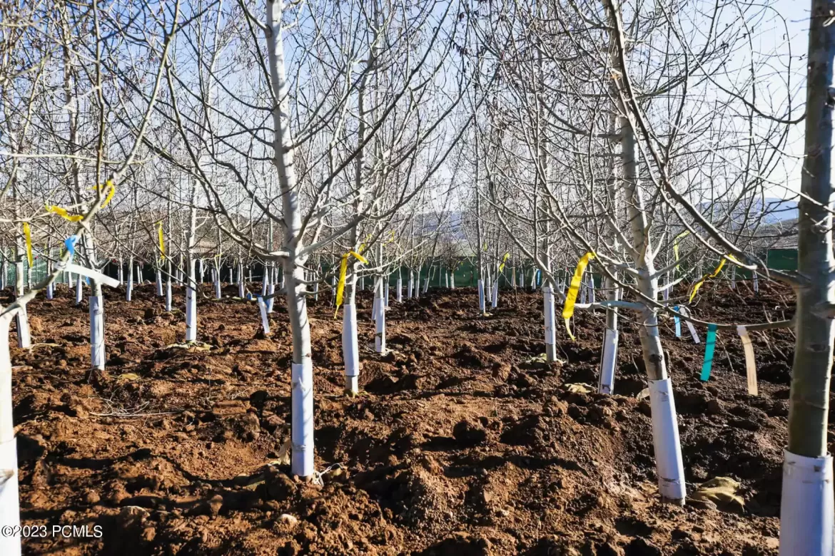 574 Village View Drive, Coalville, UT 84017