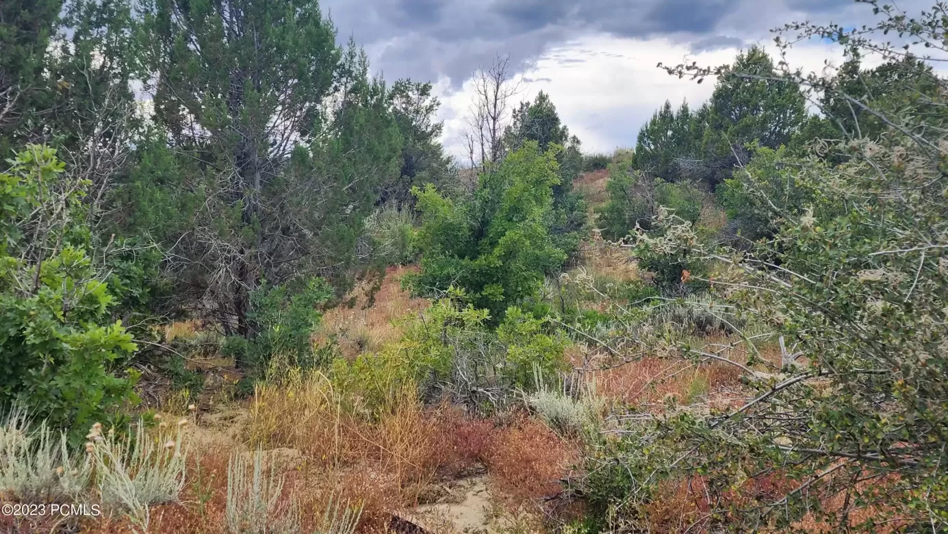 Mineral Springs Road, Mount Carmel, Utah 84755