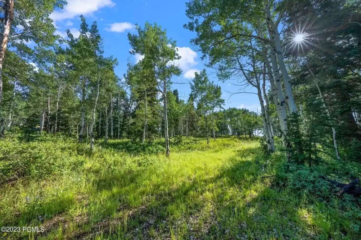 2988 South Canyon Road, Park City, Utah 84068