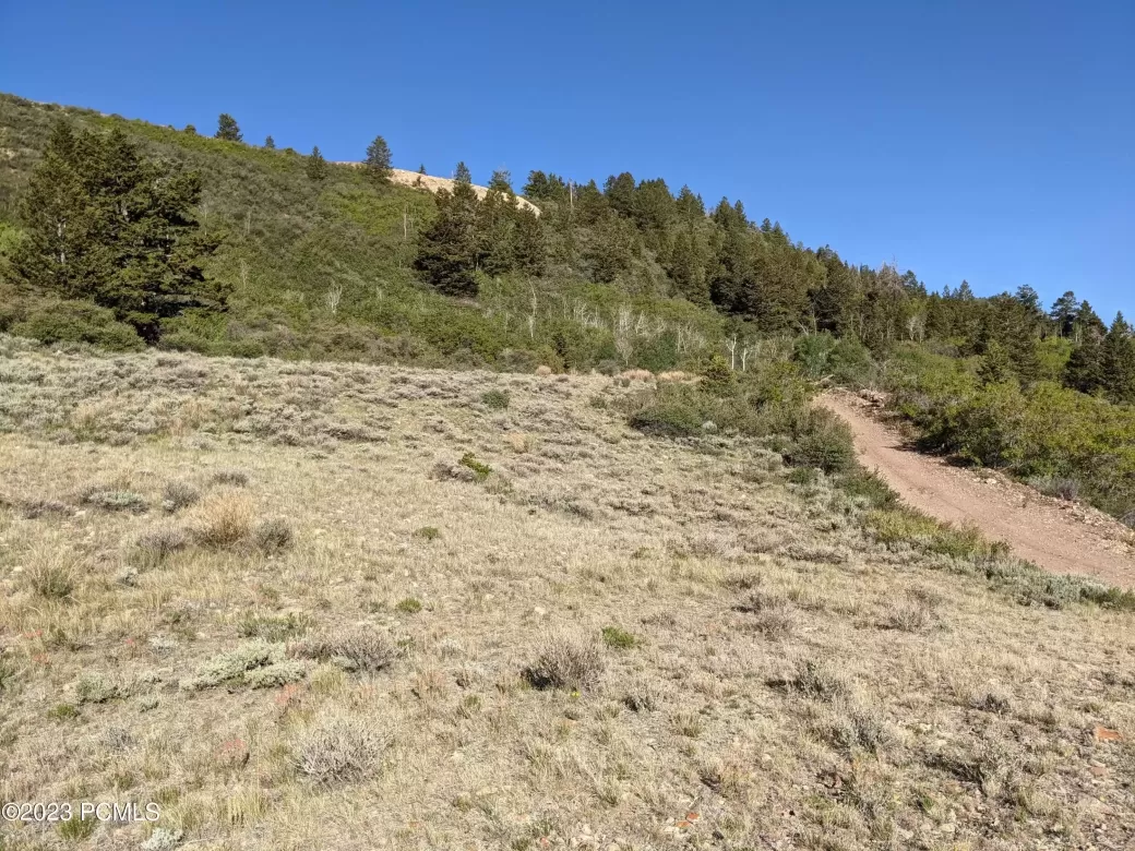 40.352386, 110.750650, Tabiona, Utah 84072