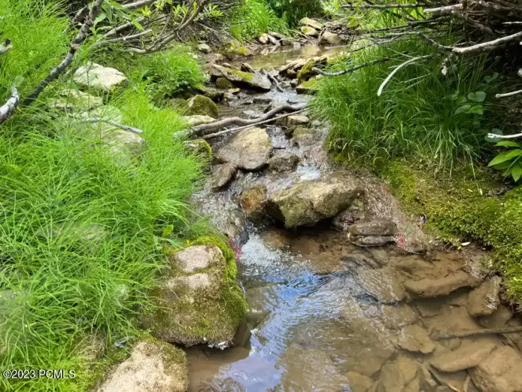 Forest Service Road, Fairview, Utah 84629