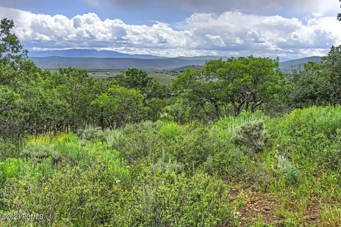 1146 Snowberry Street, Park City, Utah 84098