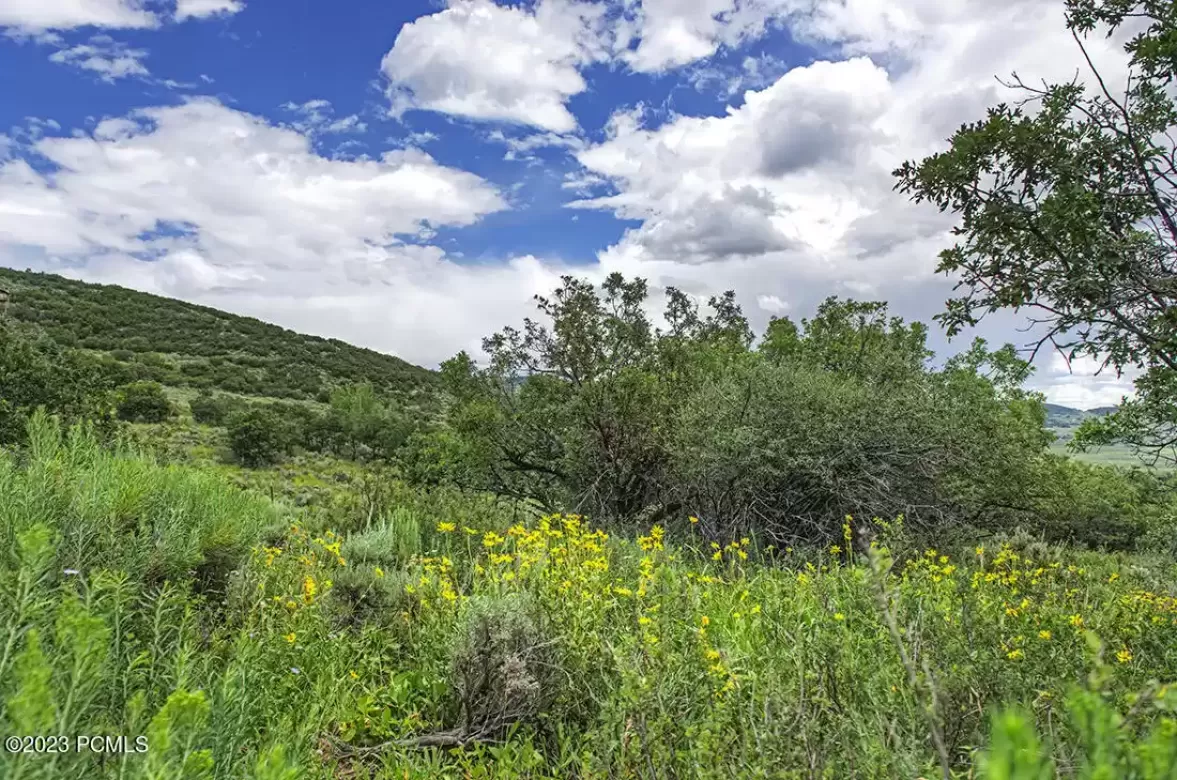 1146 Snowberry Street, Park City, Utah 84098