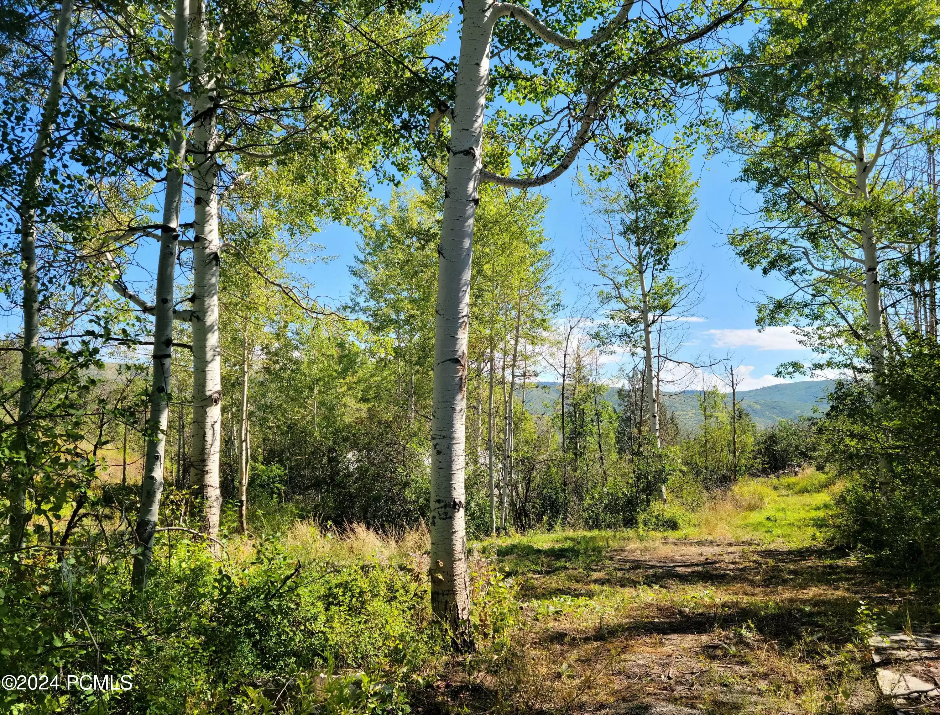 4482 S Aspen Hollow Road, Kamas, UT 84036