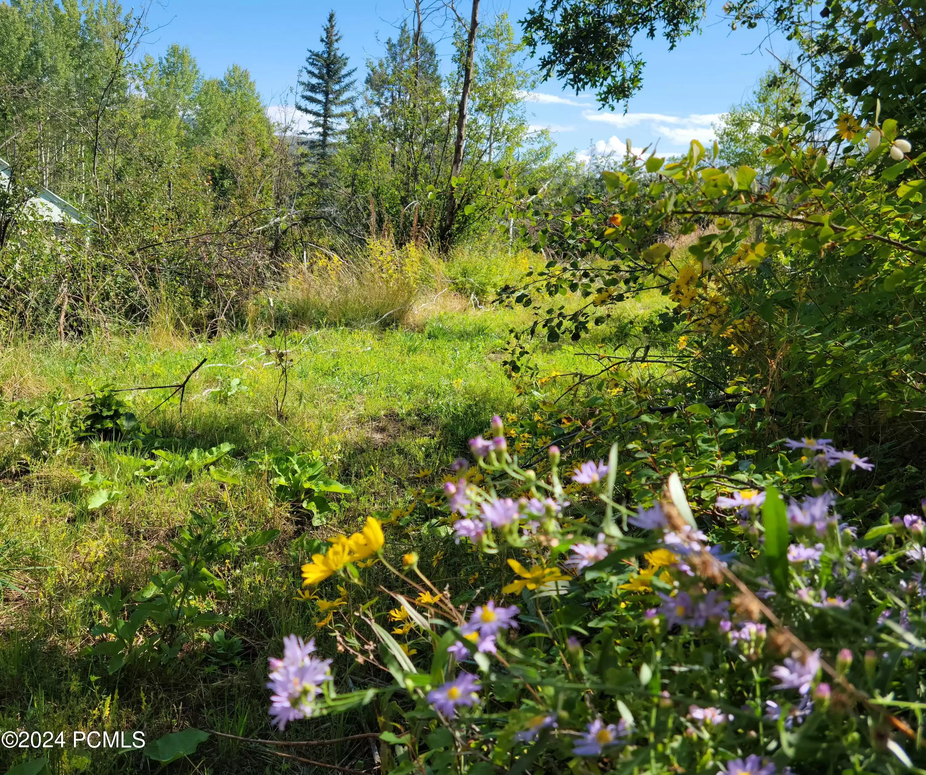 4482 S Aspen Hollow Road, Kamas, UT 84036