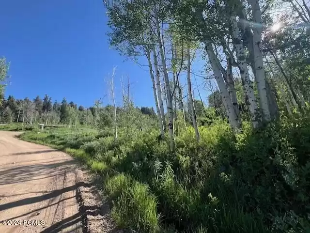 2278 Forest Meadow Road, Coalville, Utah 84017