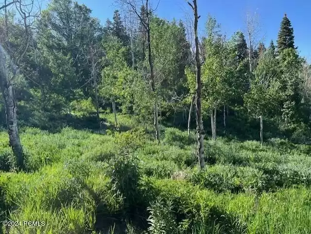 2278 Forest Meadow Road, Coalville, Utah 84017