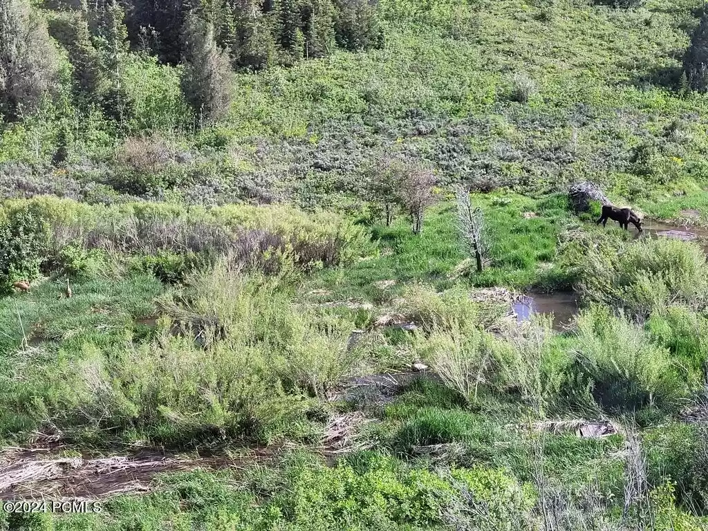 Tax Id Pp-40, Park City, Utah 84098