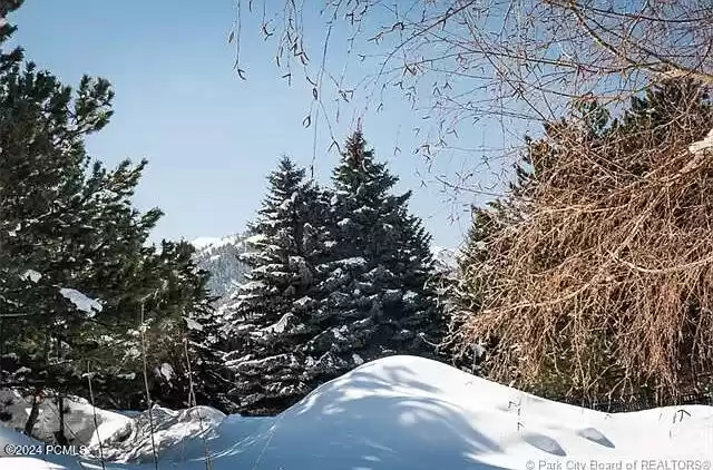 2025 Canyons Resort Drive Unit N3, Park City, Utah 84098