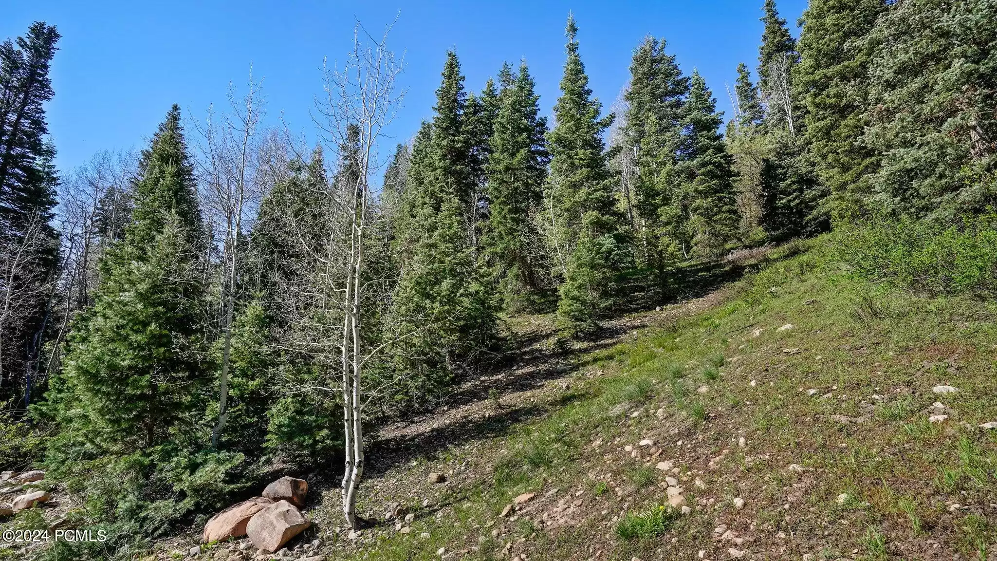 Tollgate Canyon Rd, Coalville, Utah 84017