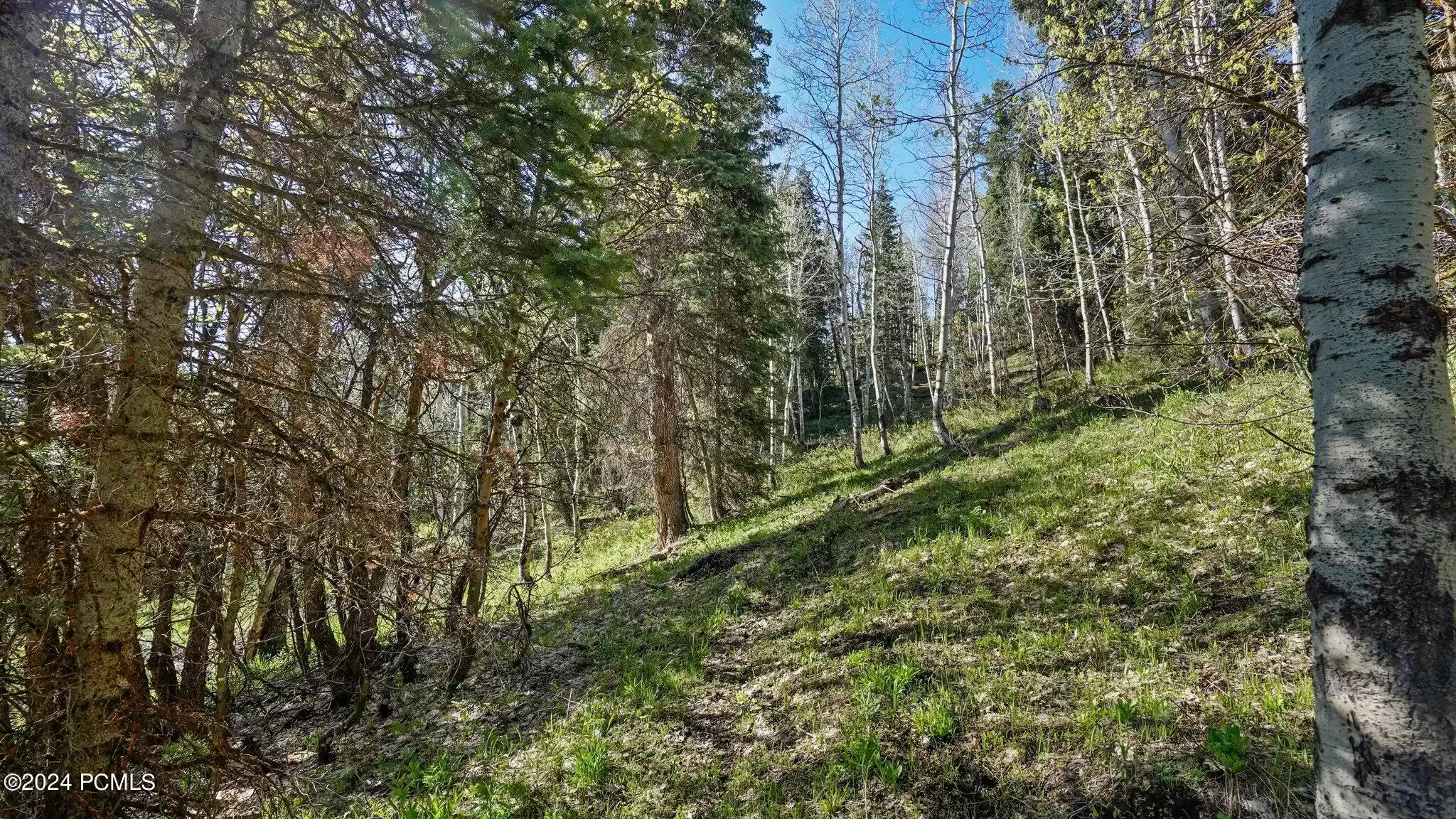 Tollgate Canyon Rd, Coalville, Utah 84017