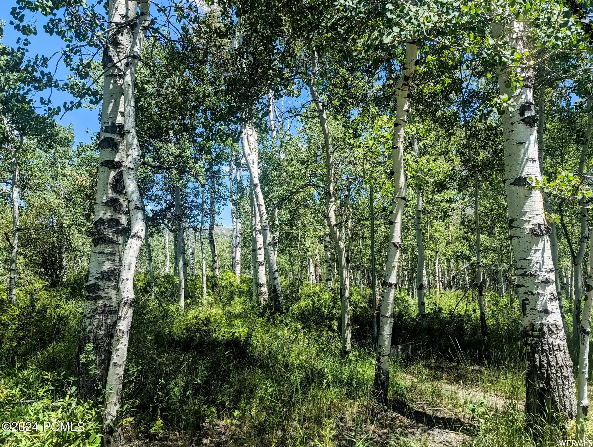 10579 Fir Run, Heber City, Utah 84032