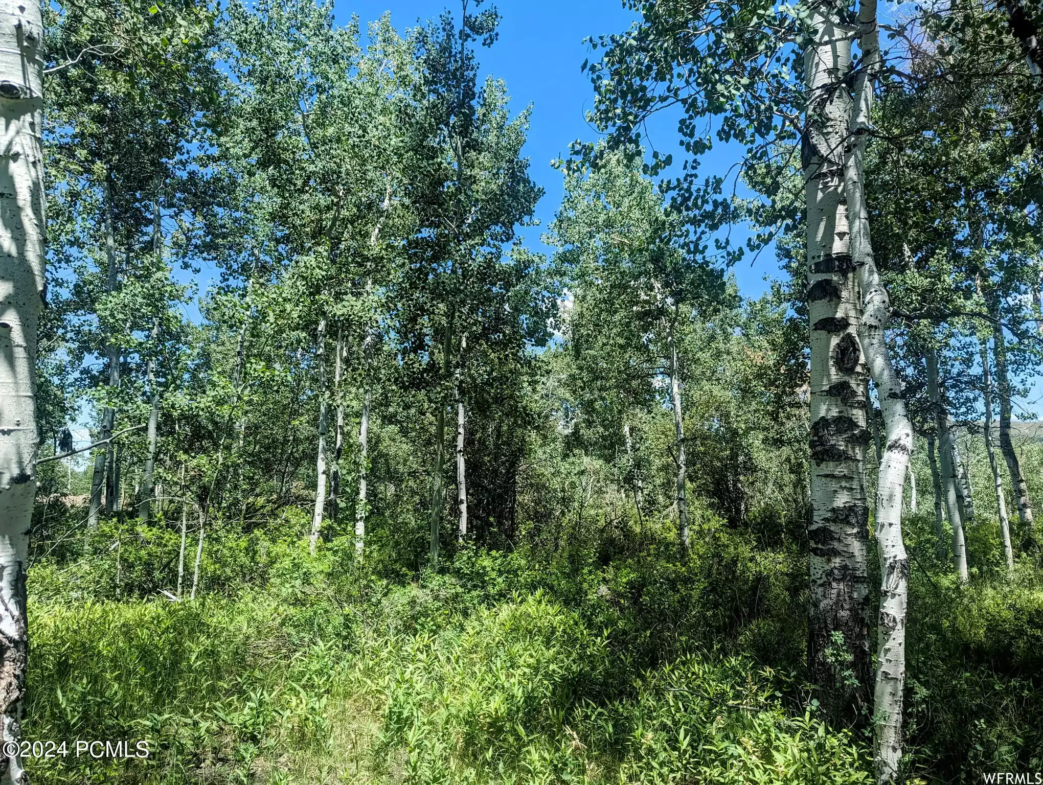 10579 Fir Run, Heber City, Utah 84032