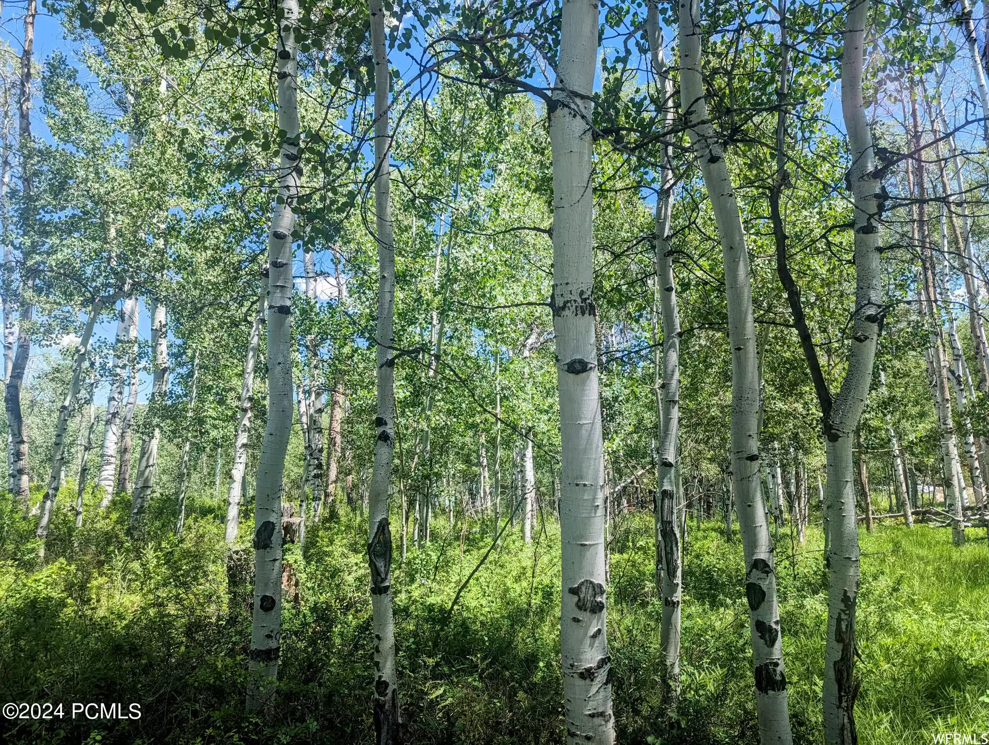 10579 Fir Run, Heber City, Utah 84032