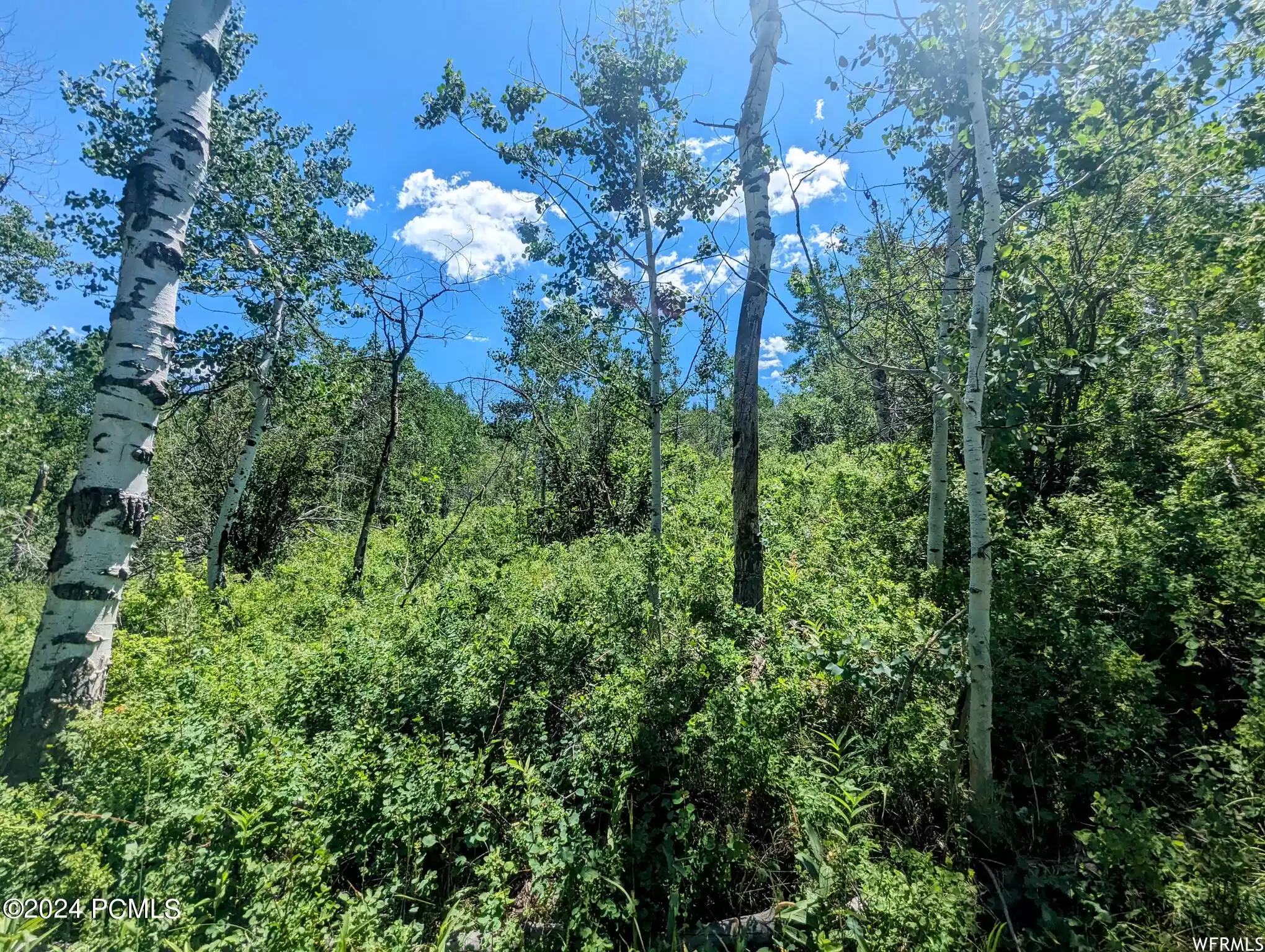 10579 Fir Run, Heber City, Utah 84032