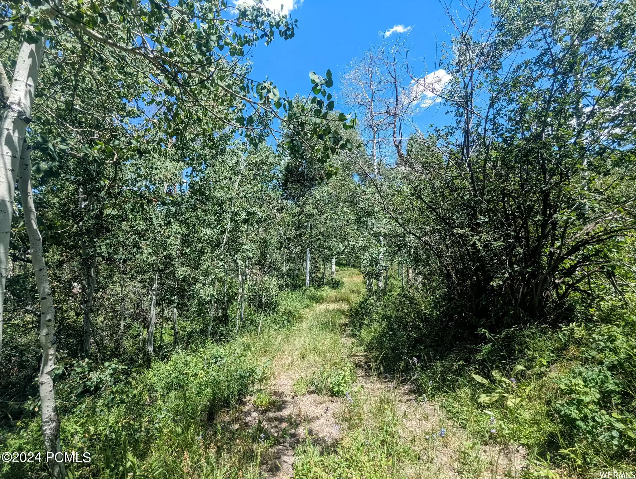 10579 Fir Run, Heber City, Utah 84032