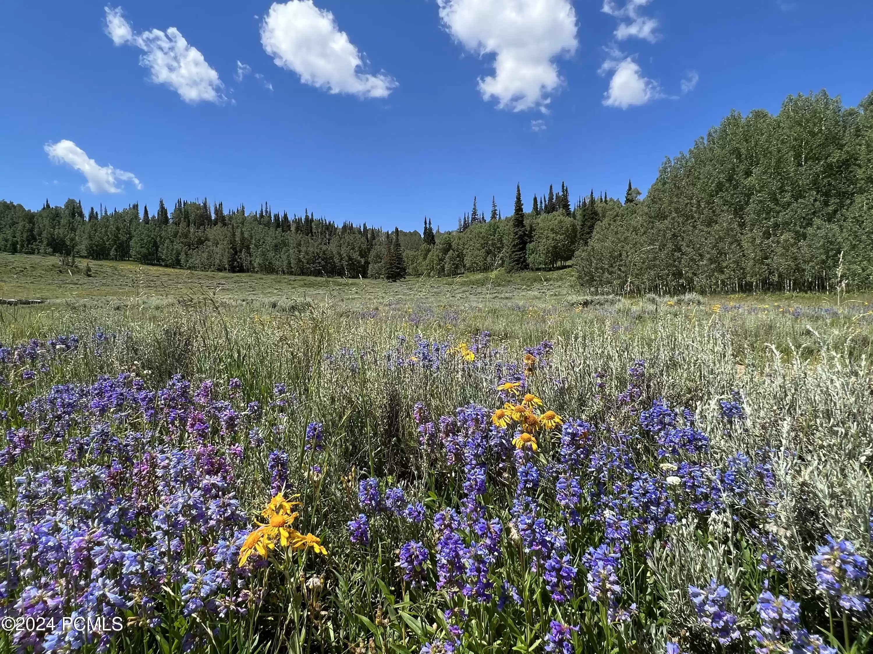 Forest Road, Fairview, Utah 84629