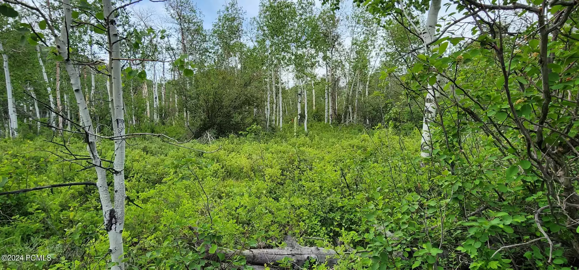 38 Shoshone Road, Oakley, Utah 84055