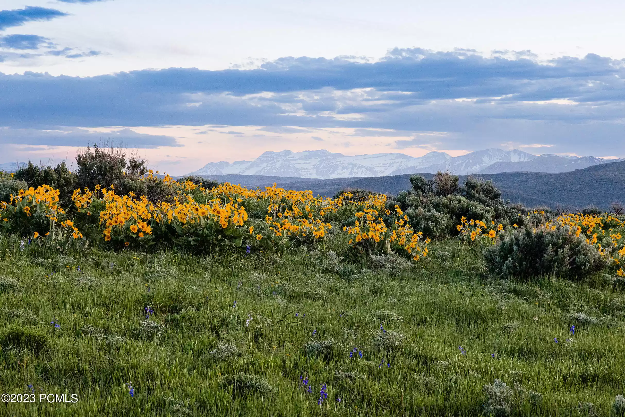 755 E Hoyt Peak Ranch Road, Marion, UT 84036