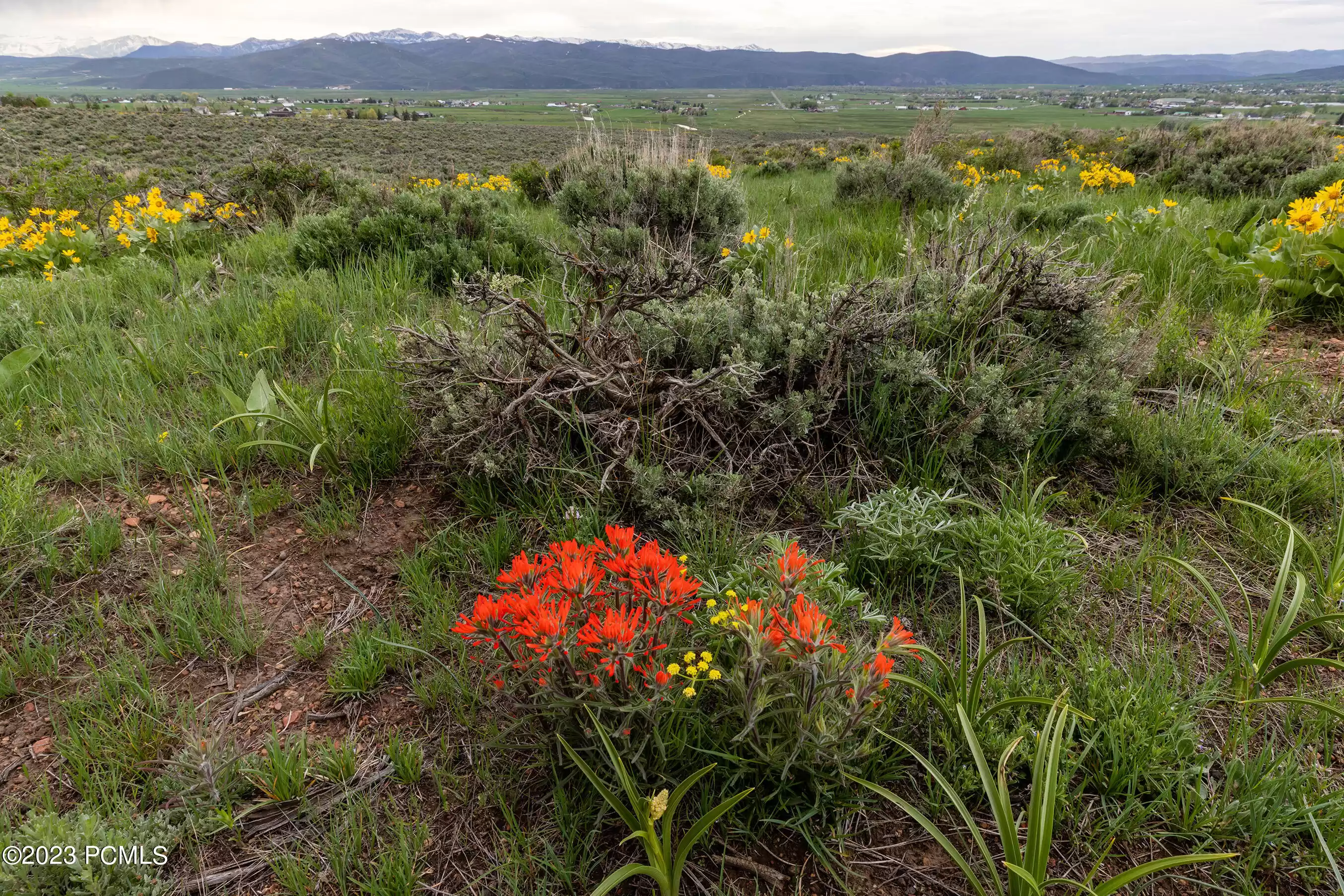 755 E Hoyt Peak Ranch Road, Marion, UT 84036