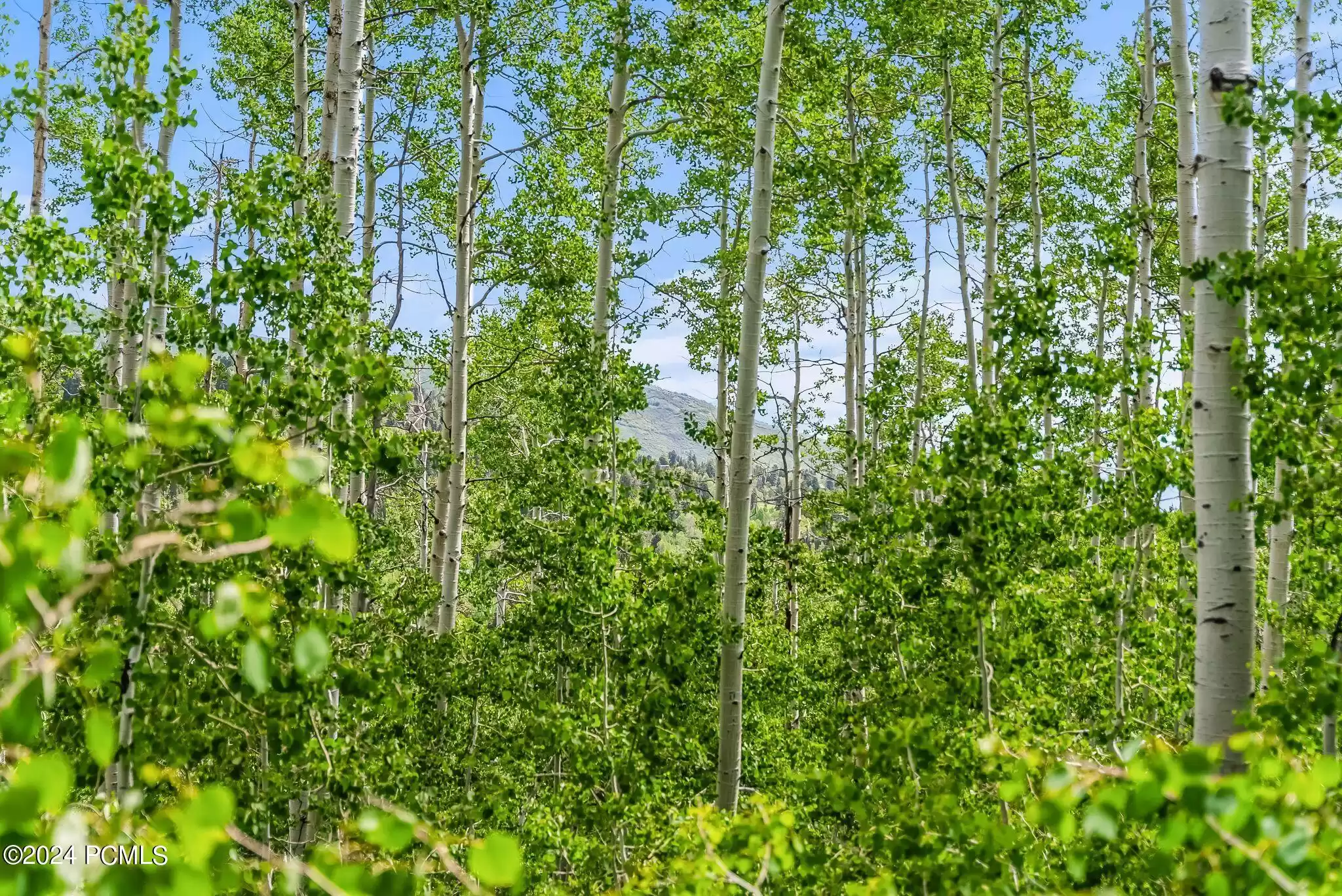 2195 Aspen Ridge Drive, Coalville, Utah 84017