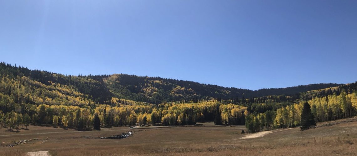 Colony at White Pine Canyon I Park City Real Estate